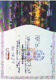 Диплом 3